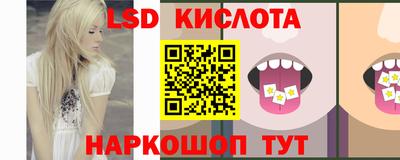 стафф Шелехов