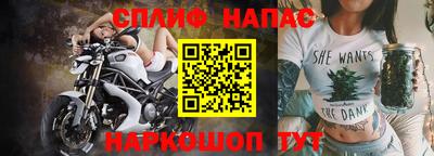 стафф Шелехов