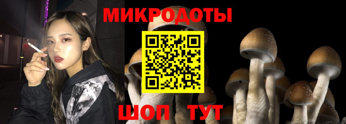 Псилоцибиновые грибы мухоморы Урюпинск